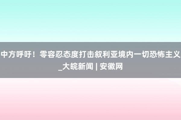 中方呼吁！零容忍态度打击叙利亚境内一切恐怖主义_大皖新闻 | 安徽网