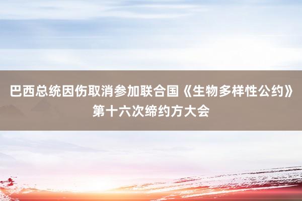 巴西总统因伤取消参加联合国《生物多样性公约》第十六次缔约方大会