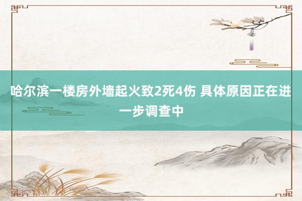 哈尔滨一楼房外墙起火致2死4伤 具体原因正在进一步调查中