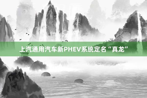 上汽通用汽车新PHEV系统定名“真龙”