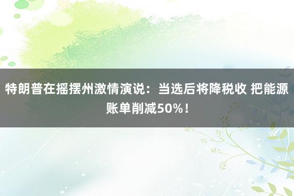 特朗普在摇摆州激情演说：当选后将降税收 把能源账单削减50%！