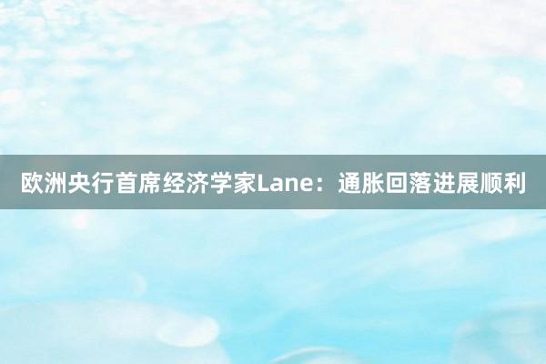 欧洲央行首席经济学家Lane：通胀回落进展顺利