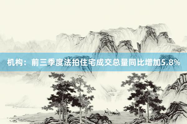 机构：前三季度法拍住宅成交总量同比增加5.8%