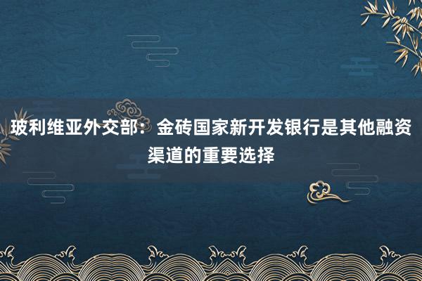 玻利维亚外交部：金砖国家新开发银行是其他融资渠道的重要选择