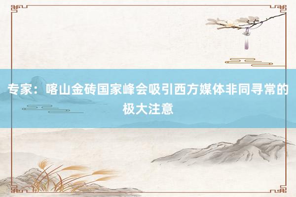 专家：喀山金砖国家峰会吸引西方媒体非同寻常的极大注意