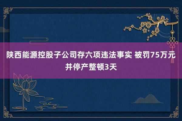 陕西能源控股子公司存六项违法事实 被罚75万元并停产整顿3天