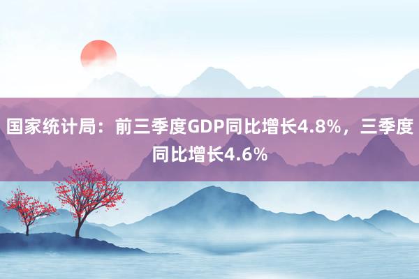 国家统计局：前三季度GDP同比增长4.8%，三季度同比增长4.6%