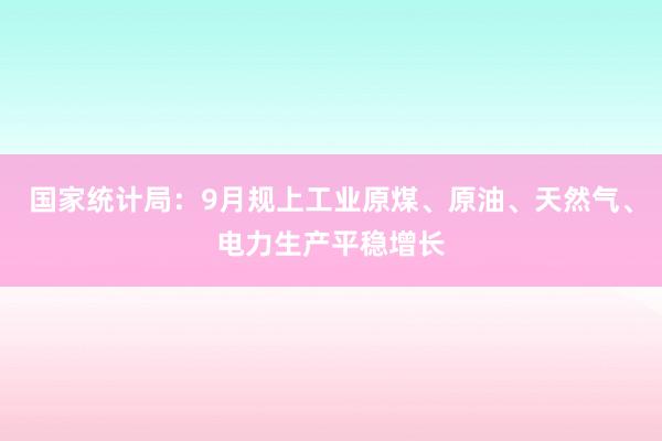 国家统计局：9月规上工业原煤、原油、天然气、电力生产平稳增长