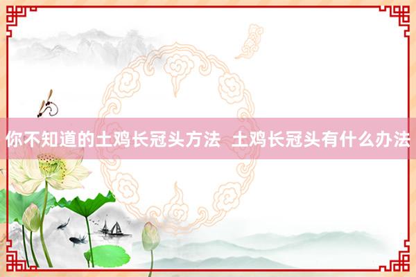 你不知道的土鸡长冠头方法  土鸡长冠头有什么办法