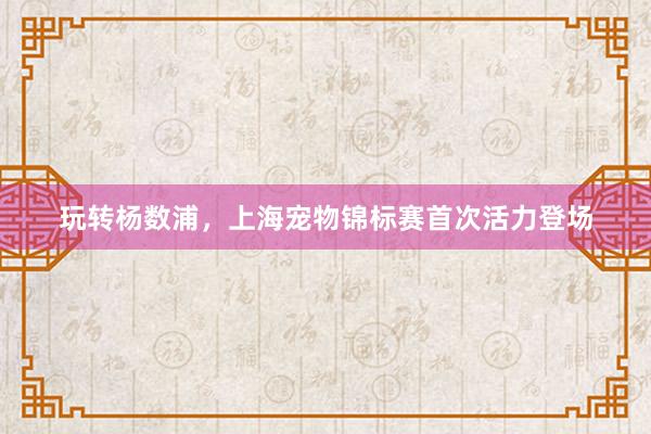 玩转杨数浦，上海宠物锦标赛首次活力登场