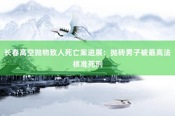 长春高空抛物致人死亡案进展：抛砖男子被最高法核准死刑