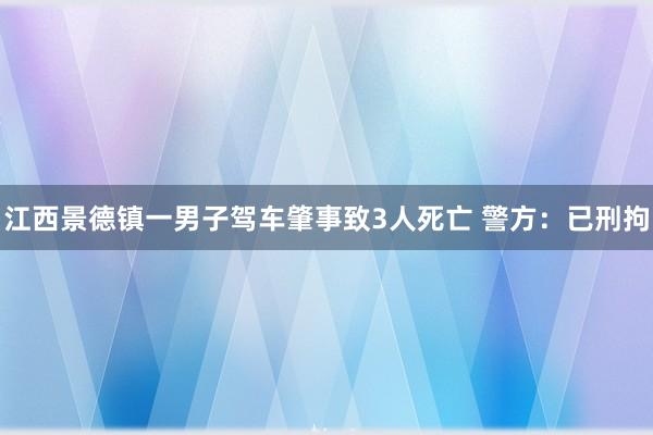 江西景德镇一男子驾车肇事致3人死亡 警方：已刑拘