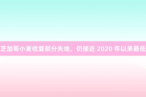 芝加哥小麦收复部分失地，仍接近 2020 年以来最低