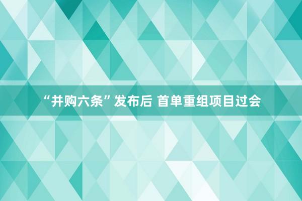 “并购六条”发布后 首单重组项目过会