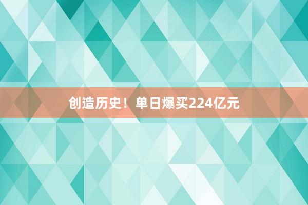 创造历史！单日爆买224亿元