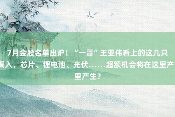 7月金股名单出炉！“一哥”王亚伟看上的这几只被调入，芯片、锂电池、光伏……超额机会将在这里产生？