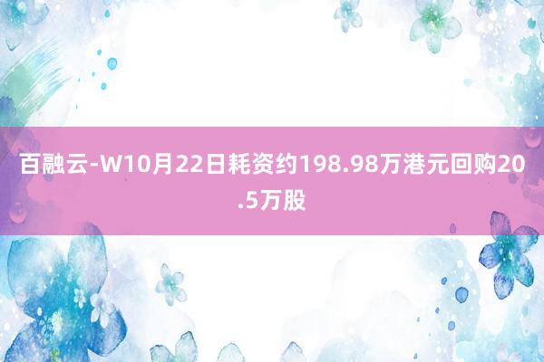 百融云-W10月22日耗资约198.98万港元回购20.5万股