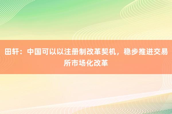 田轩：中国可以以注册制改革契机，稳步推进交易所市场化改革