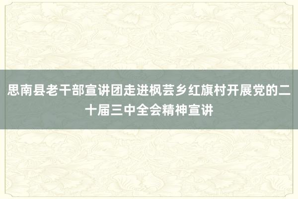 思南县老干部宣讲团走进枫芸乡红旗村开展党的二十届三中全会精神宣讲