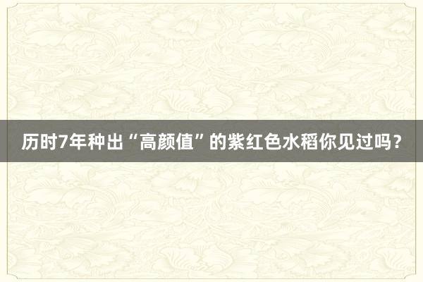 历时7年种出“高颜值”的紫红色水稻你见过吗？