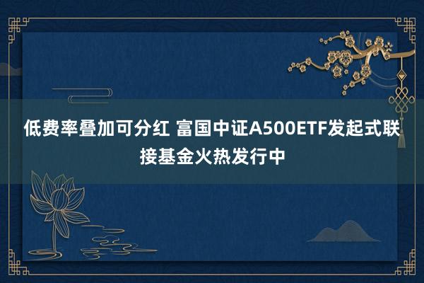 低费率叠加可分红 富国中证A500ETF发起式联接基金火热发行中