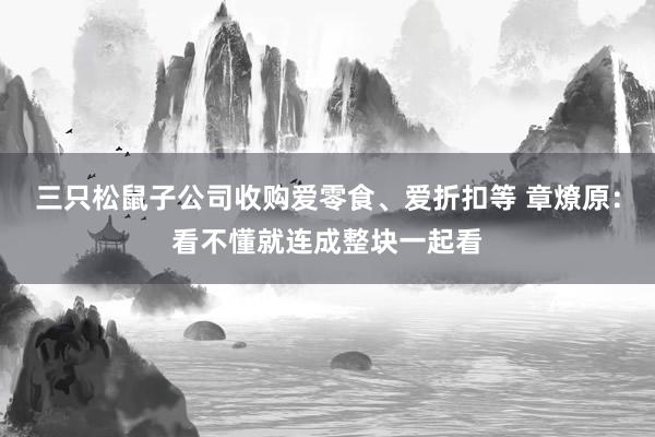 三只松鼠子公司收购爱零食、爱折扣等 章燎原：看不懂就连成整块一起看