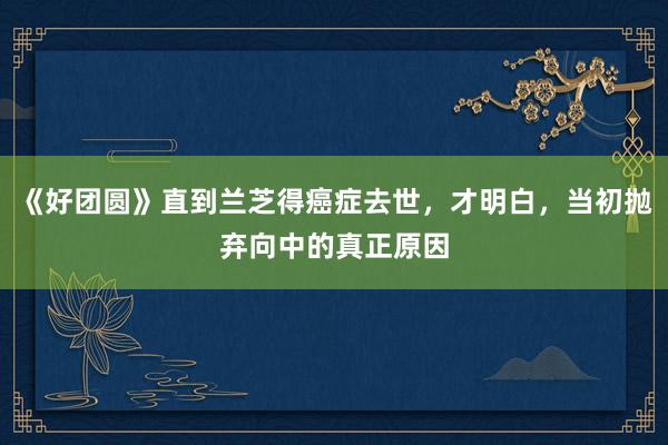 《好团圆》直到兰芝得癌症去世，才明白，当初抛弃向中的真正原因