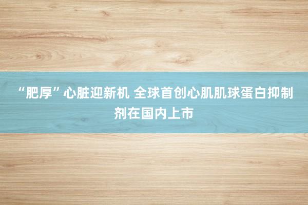 “肥厚”心脏迎新机 全球首创心肌肌球蛋白抑制剂在国内上市