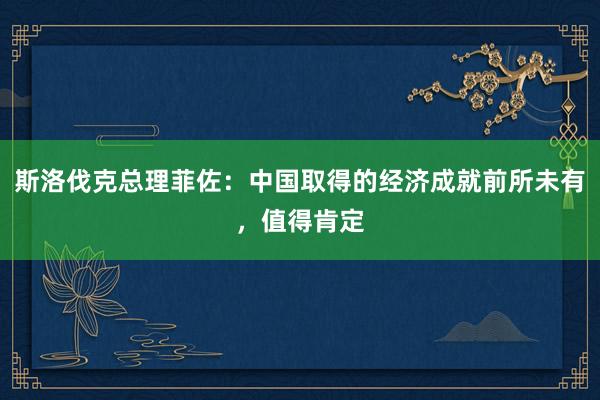 斯洛伐克总理菲佐：中国取得的经济成就前所未有，值得肯定