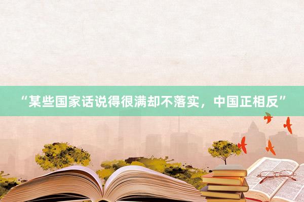 “某些国家话说得很满却不落实，中国正相反”