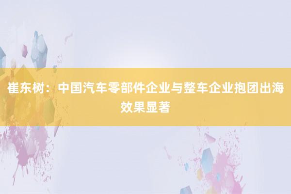 崔东树：中国汽车零部件企业与整车企业抱团出海效果显著