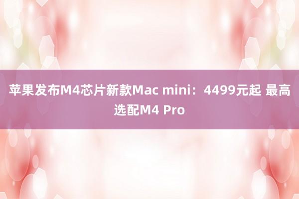 苹果发布M4芯片新款Mac mini：4499元起 最高选配M4 Pro