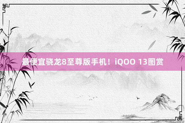 最便宜骁龙8至尊版手机！iQOO 13图赏