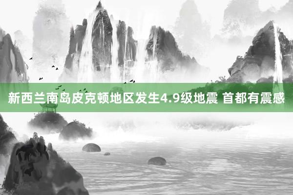 新西兰南岛皮克顿地区发生4.9级地震 首都有震感