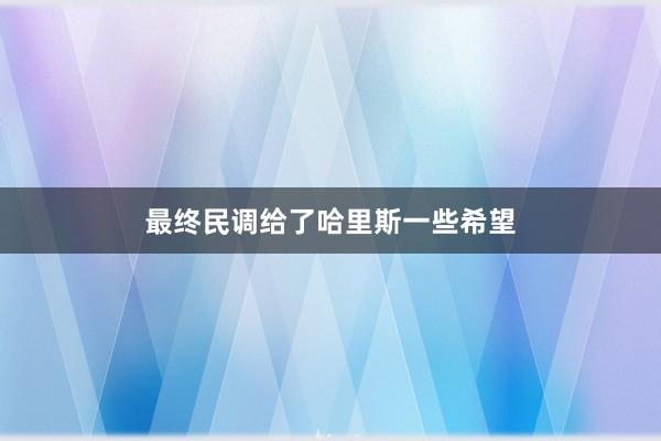 最终民调给了哈里斯一些希望