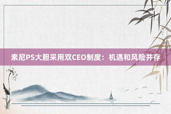 索尼PS大胆采用双CEO制度：机遇和风险并存