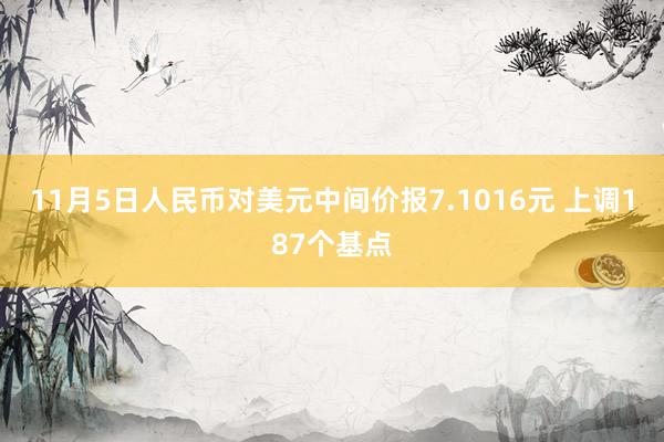 11月5日人民币对美元中间价报7.1016元 上调187个基点