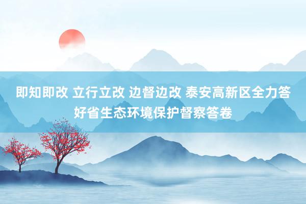 即知即改 立行立改 边督边改 泰安高新区全力答好省生态环境保护督察答卷