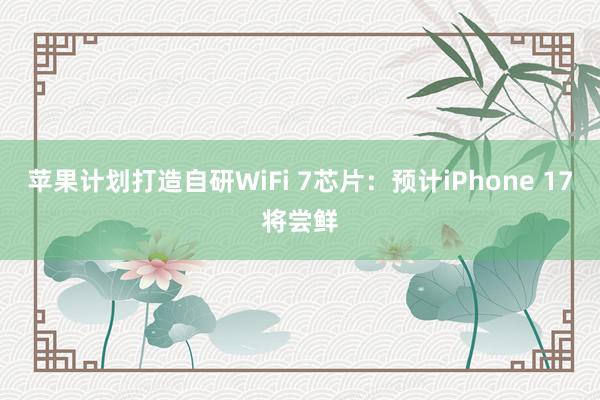 苹果计划打造自研WiFi 7芯片：预计iPhone 17将尝鲜