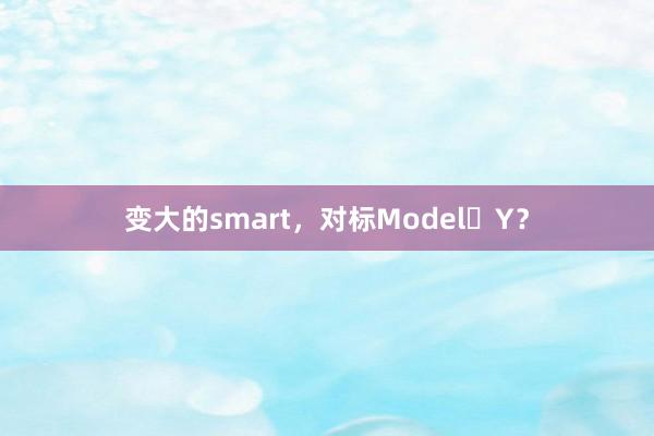 变大的smart，对标Model Y？