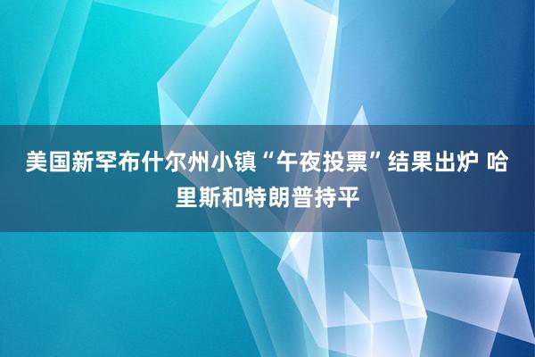 美国新罕布什尔州小镇“午夜投票”结果出炉 哈里斯和特朗普持平