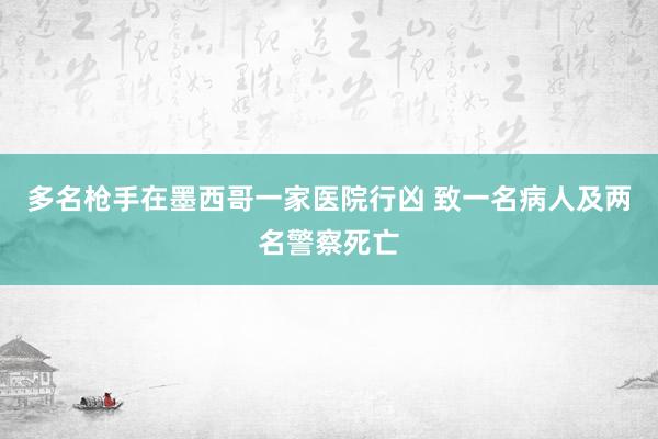 多名枪手在墨西哥一家医院行凶 致一名病人及两名警察死亡