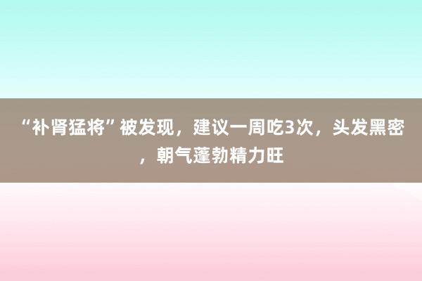 “补肾猛将”被发现，建议一周吃3次，头发黑密，朝气蓬勃精力旺