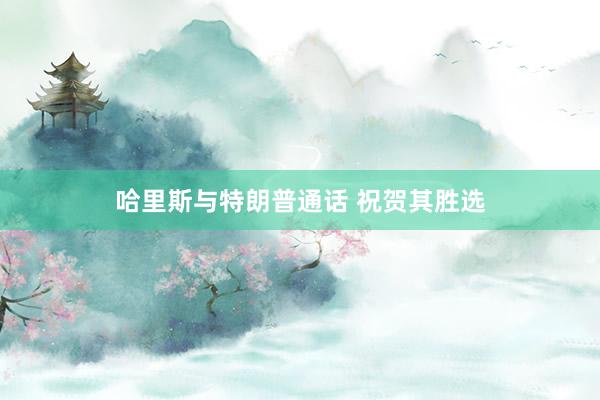 哈里斯与特朗普通话 祝贺其胜选