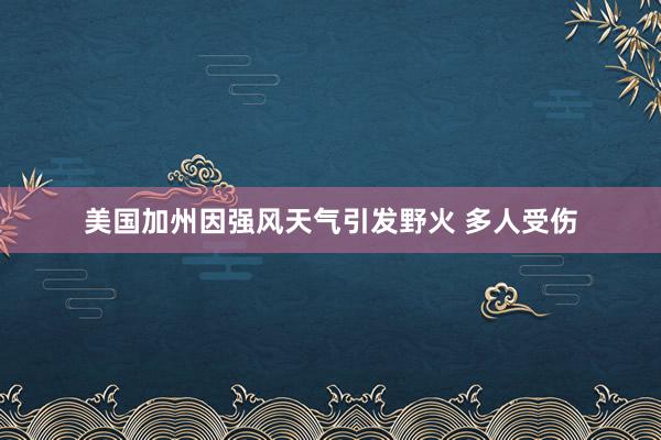 美国加州因强风天气引发野火 多人受伤