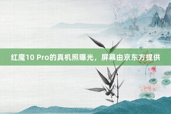 红魔10 Pro的真机照曝光，屏幕由京东方提供