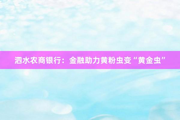 泗水农商银行：金融助力黄粉虫变“黄金虫”