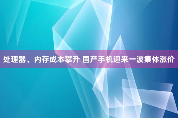 处理器、内存成本攀升 国产手机迎来一波集体涨价