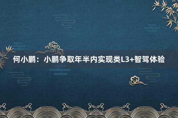 何小鹏：小鹏争取年半内实现类L3+智驾体验