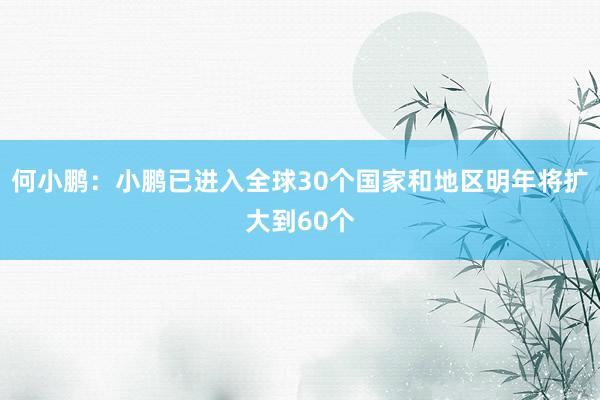 何小鹏：小鹏已进入全球30个国家和地区明年将扩大到60个